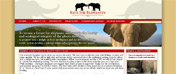Save the Elephants